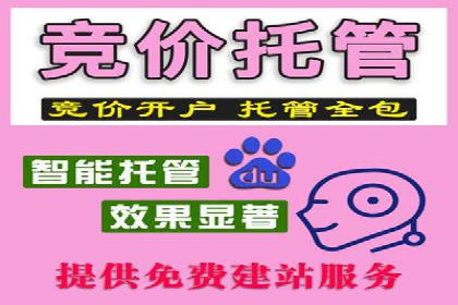 SEM服务助力电商行业案例解读